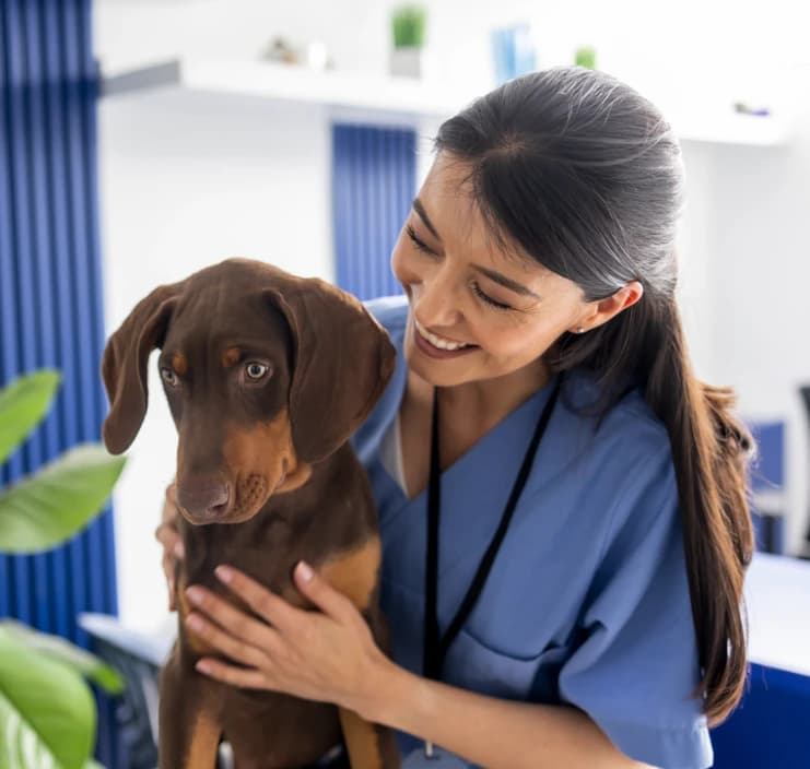 Tirol - Hundesitter und Hundebetreuung