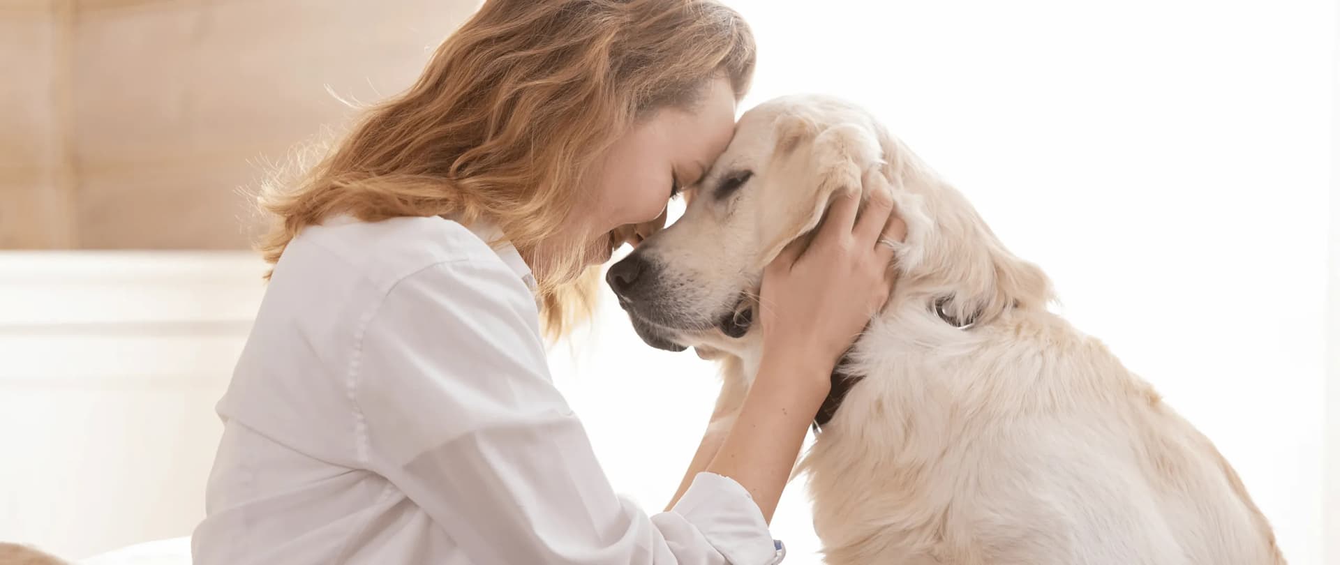 Niederösterreich - Hundesitter und Hundebetreuung