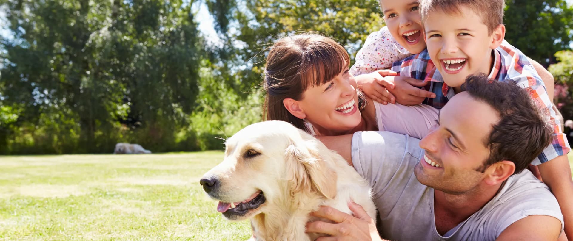 Großenhain - Hundesitter und Hundebetreuung