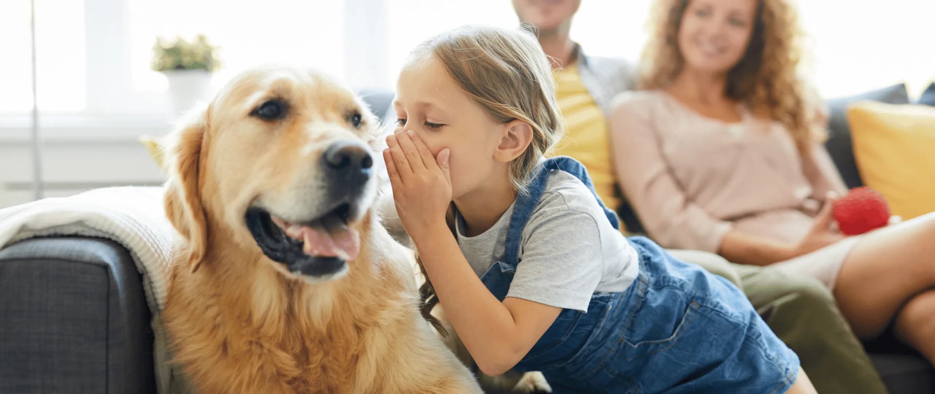 Bremen - Hundesitter und Hundebetreuung