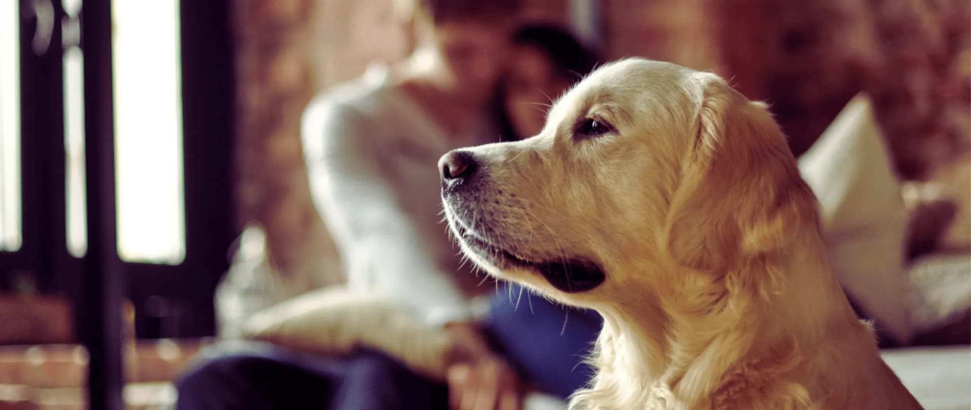 Großziethen - Hundesitter und Hundebetreuung