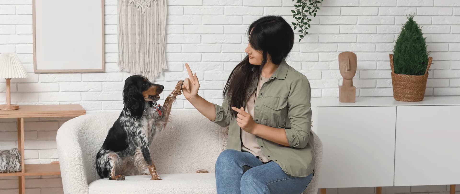 Bergisch Gladbach - Hundesitter und Hundebetreuung