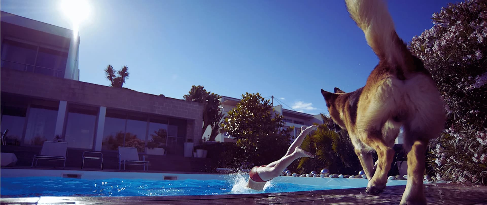 Mühlenbeck - Hundesitter und Hundebetreuung