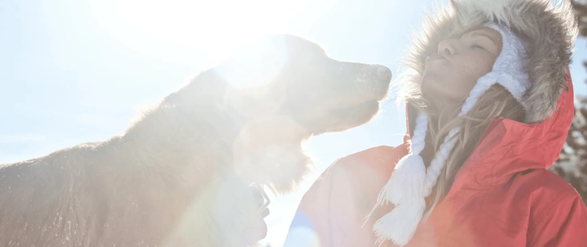 Wipperfeld - Hundesitter und Hundebetreuung