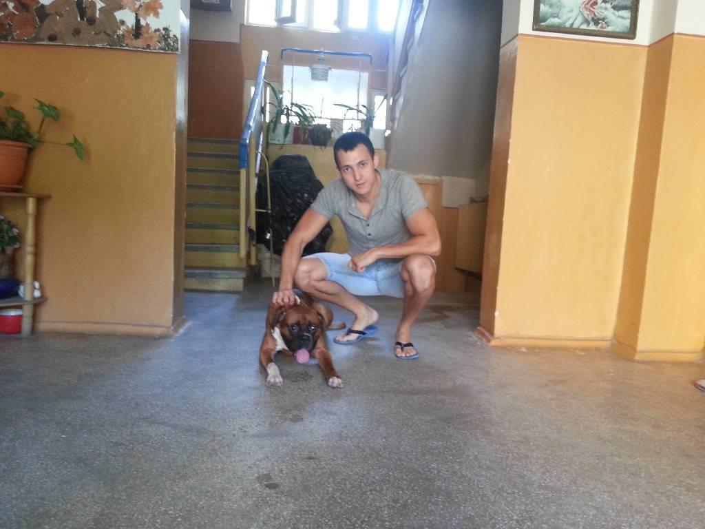Mocanu