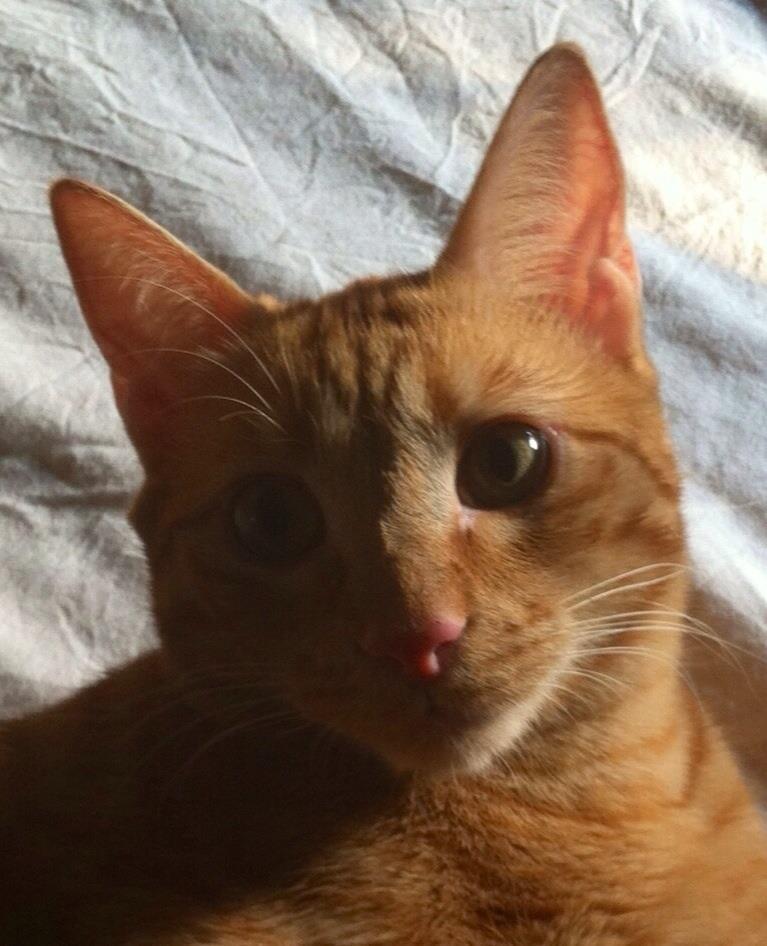 Nadia