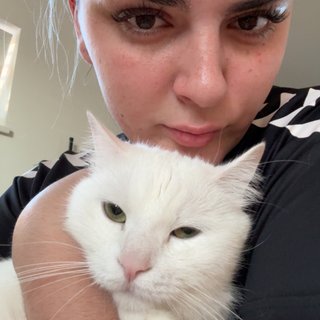 Ayla