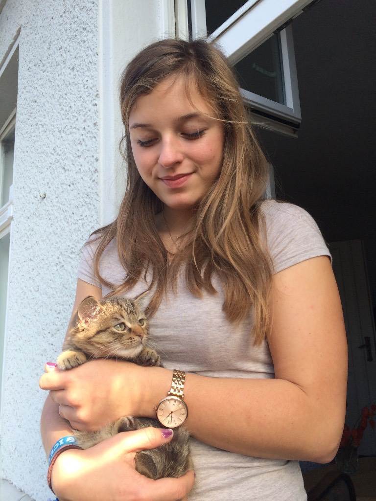 Solveig