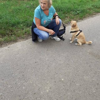 Rosi