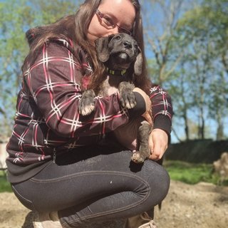 Sabrina