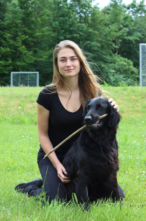 Merel