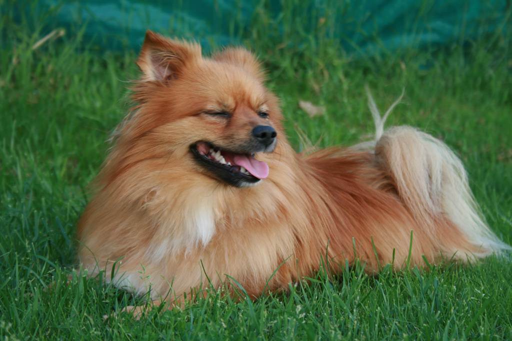 Bastian