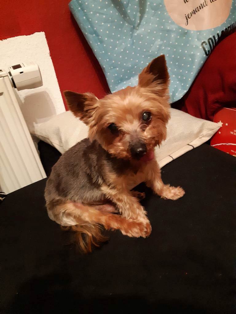 Sebastian