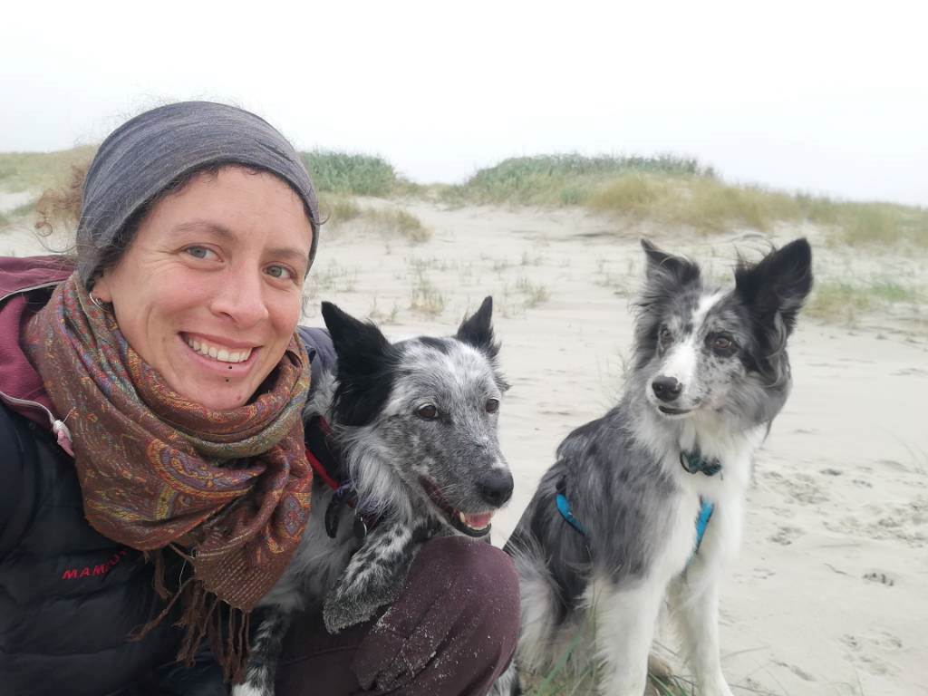 Dogisland