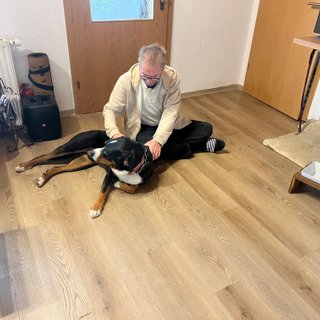Helmut