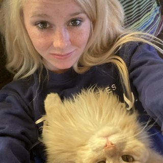 Cassandra