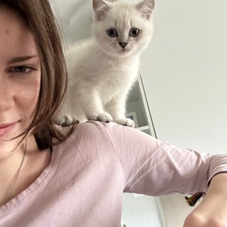 Lara
