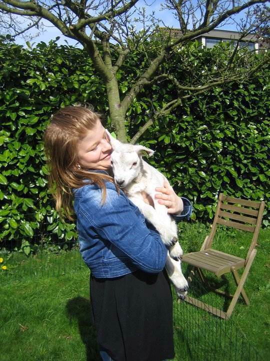 Romy